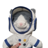 mrTorch